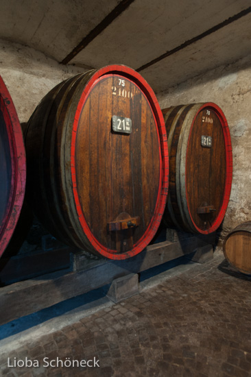 Weingut A. von Elzenbaum | Keller mit alten Weinfaessern